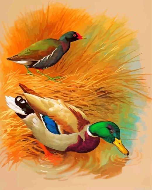 Domestic ducks painting by numbers.jpeg