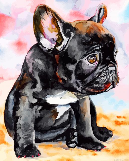 French bulldog puppy painting by numbers.jpeg