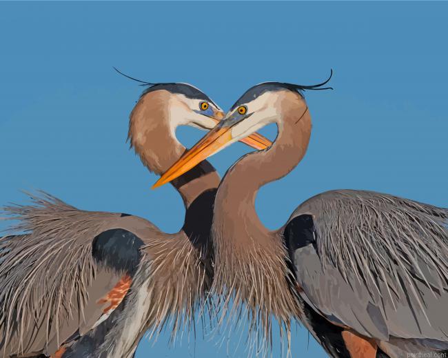 Great blue heron couple painting by numbers.jpeg