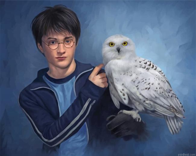 Harry potter and companion hedwig painting by numbers.jpeg