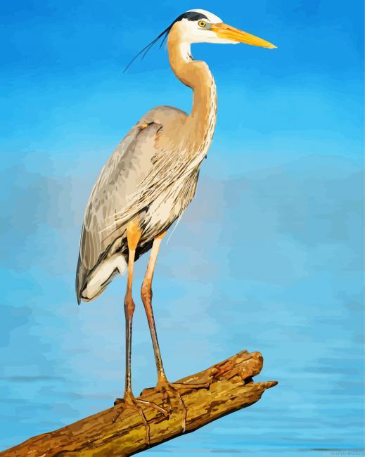Heron painting by numbers.jpeg