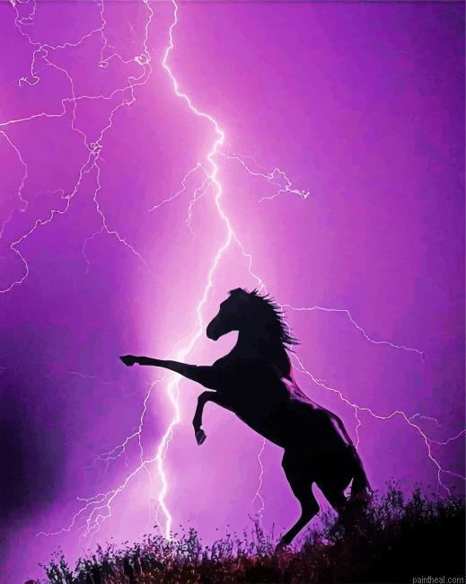 Horse lightning painting by numbers.jpeg