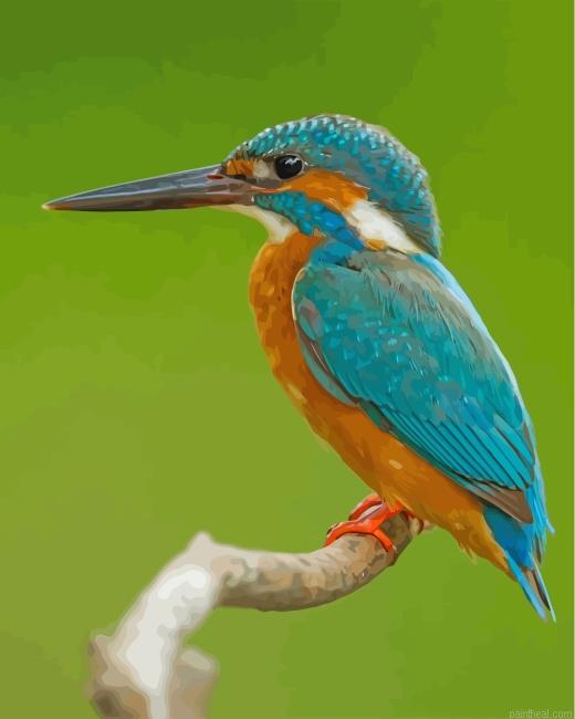 Kingfisher painting by numbers.jpeg