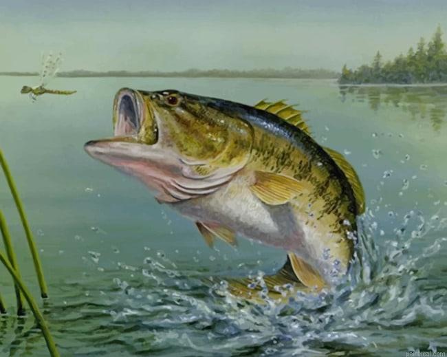 Largemouth bass new painting by numbers.jpeg