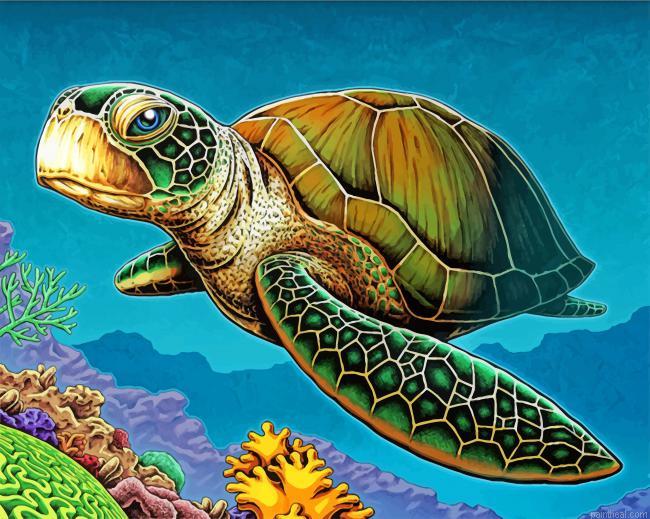 Loggerhead sea turtle painting by numbers.jpeg