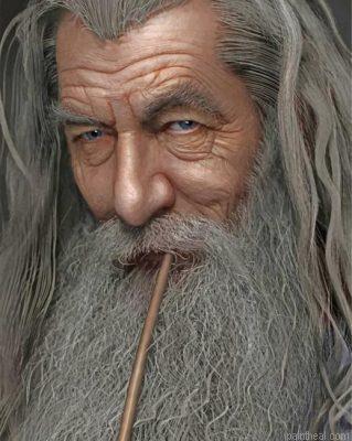 Lord of the rings gandalf painting by numbers.jpeg