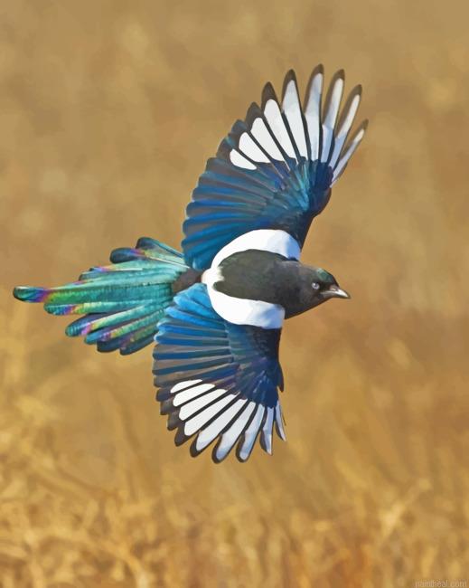 Magpie bird painting by numbers.jpeg