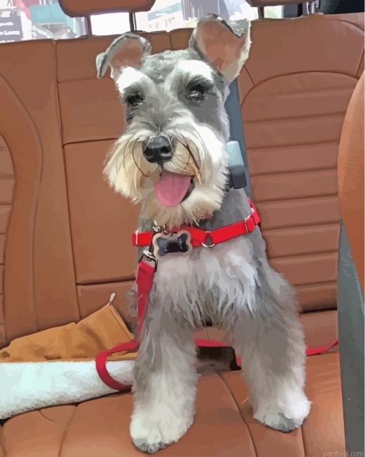 Miniature schnauzer painting by numbers.jpeg