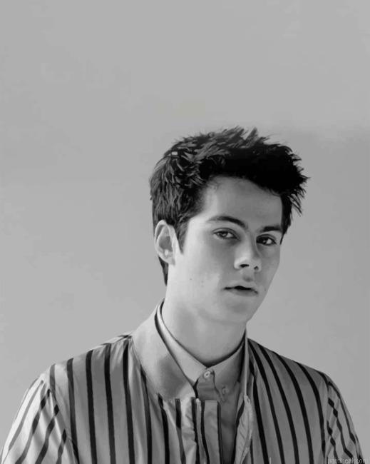 Monochrome dylan o brien painting by numbers.jpeg