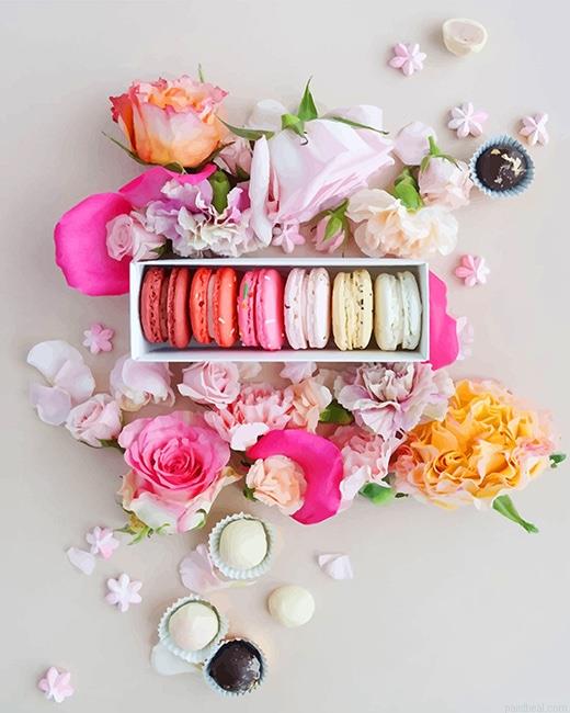 Pink macarons painting by numbers.jpeg