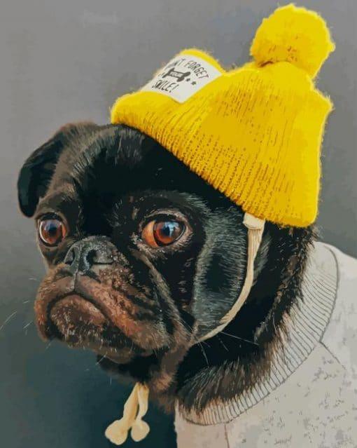 Pug with yellow hat painting by numbers.jpeg