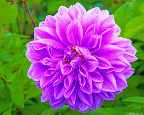 Purple lilac flower painting by numbers.jpeg