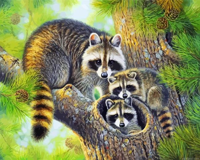 Raccoon family painting by numbers.jpeg