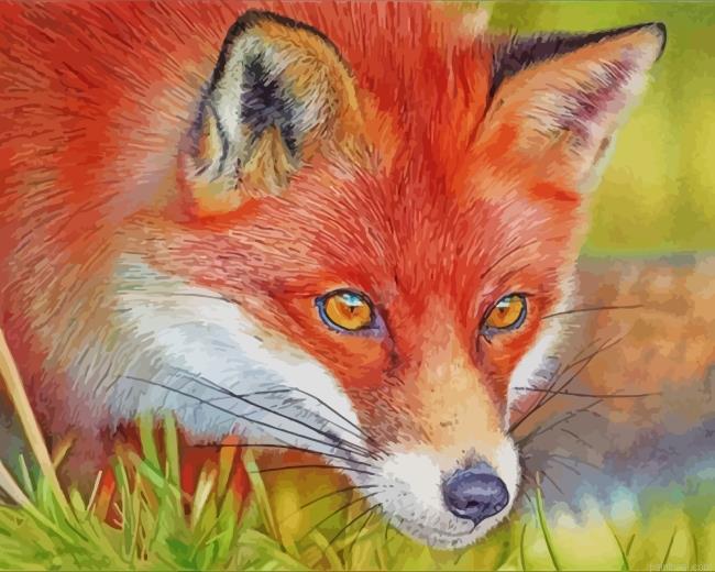 Red fox painting by numbers.jpeg