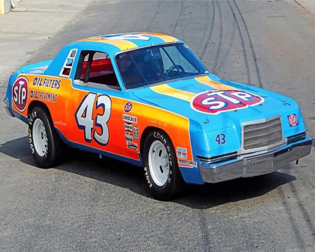Richard petty race car painting by numbers.jpeg