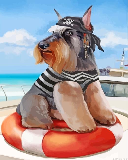 Schnauzer pirate painting by numbers.jpeg