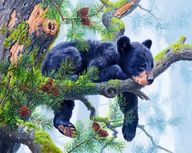 Sleepy bear painting by numbers.jpeg