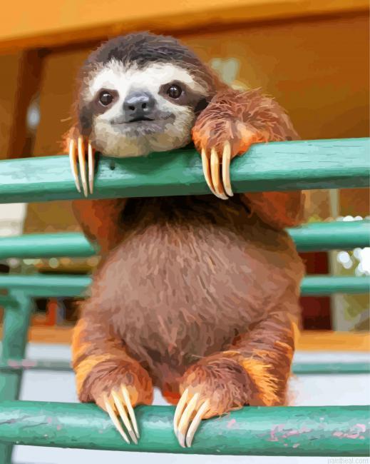 Sloth animal painting by numbers.jpeg