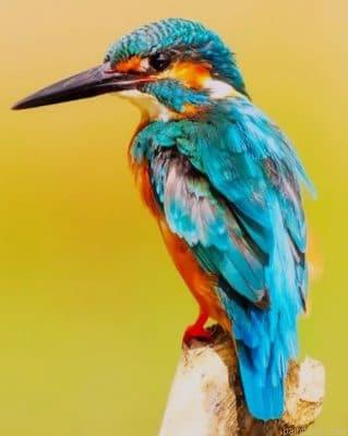 The kingfisher bird painting by numbers.jpeg