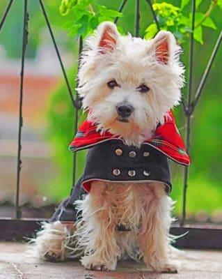 Vampire westie painting by numbers.jpeg