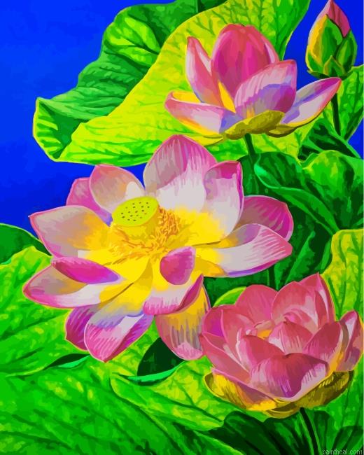 Water lily painting by numbers.jpeg