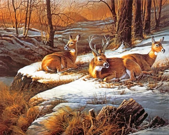 White tailed deers painting by numbers.jpeg