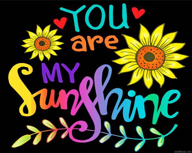 You are my sunshine painting by numbers.jpeg