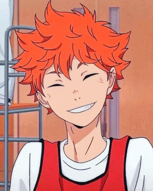 Aesthetic hinata shoyo animes painting by numbers.jpeg