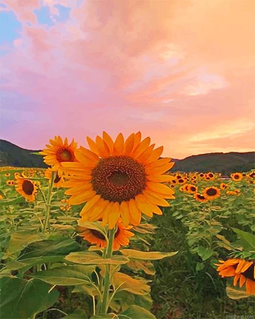 Aesthetic sunflowers painting by numbers.jpeg
