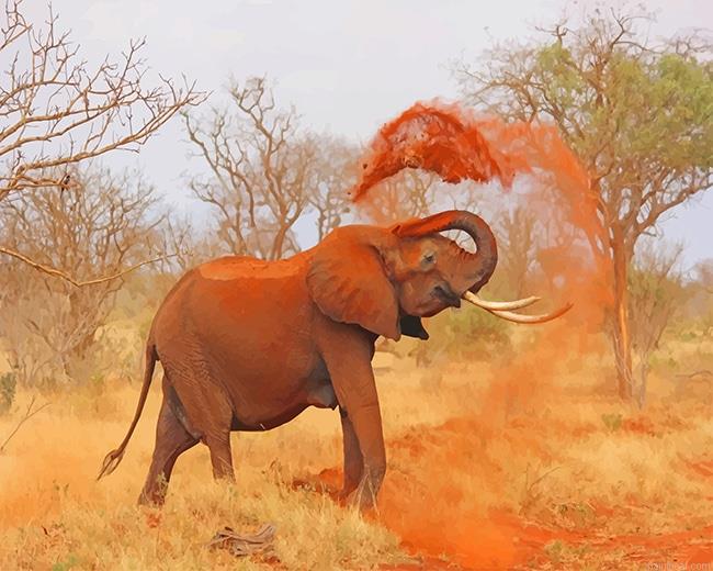 African elephant painting by numbers.jpeg
