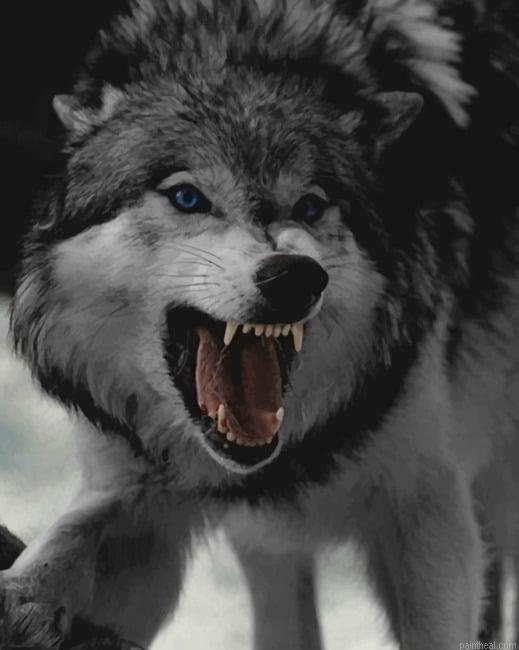 Angry wolf new painting by numbers.jpeg