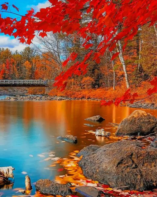 Autumn nature painting by numbers.jpeg