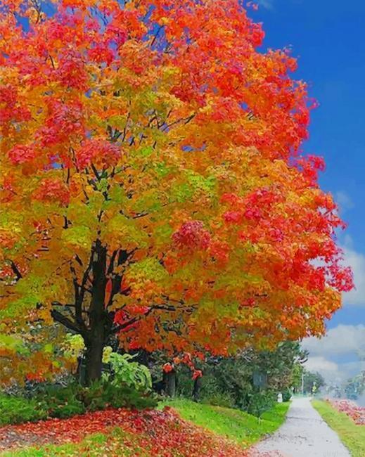Autumn scenery painting by numbers.jpeg