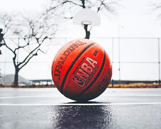 Basket ball painting by numbers.jpeg