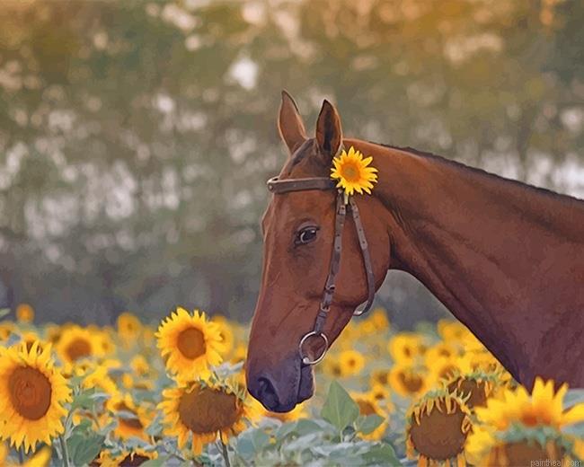 Beautiful brown horse painting by numbers.jpeg