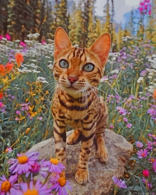 Bengal cat and flowers new painting by numbers.jpeg