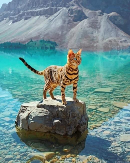 Bengal cat in a geographical beauty seascape new painting by numbers.jpeg