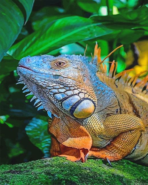 Big iguana painting by numbers.jpeg