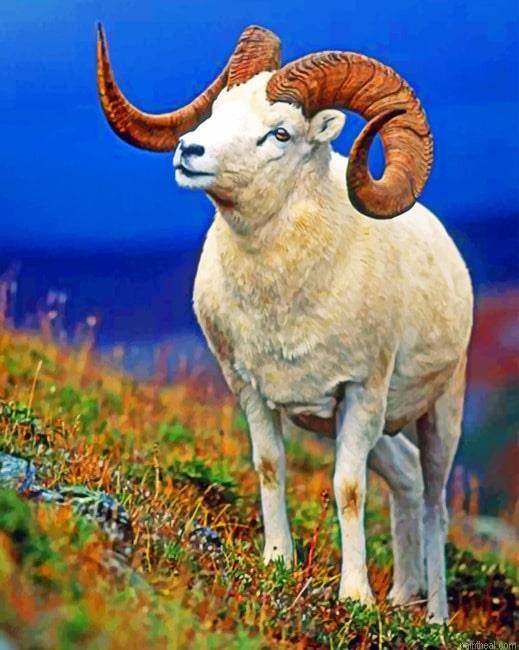 Bighorn sheep animals painting by numbers.jpeg