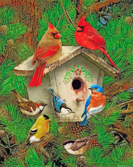 Bird house painting by numbers.jpeg