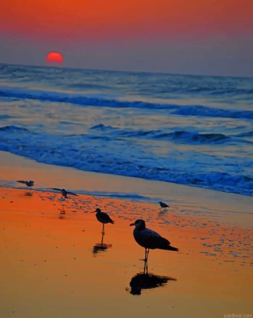 Birds in sea painting by numbers.jpeg