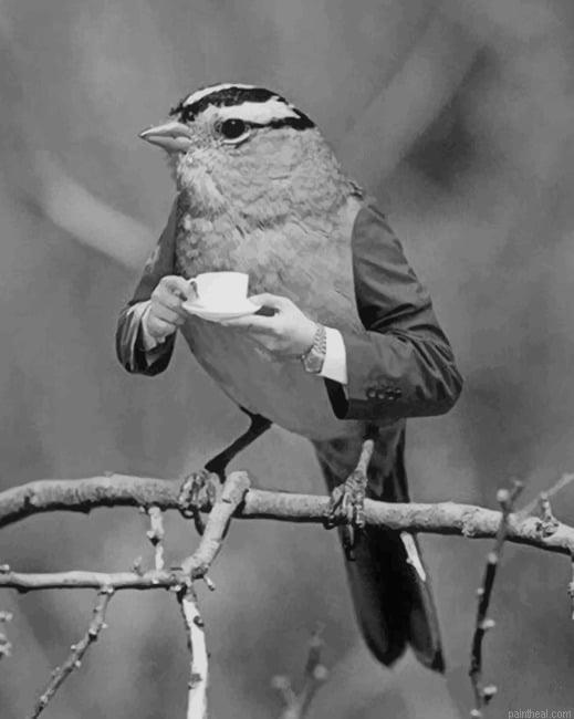 Black and white bird drinking new painting by numbers.jpeg