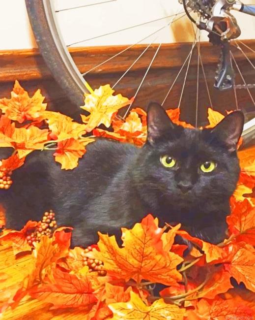 Black cat in autumn painting by numbers.jpeg