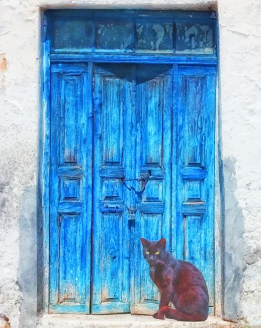 Black cat new painting by numbers.jpeg