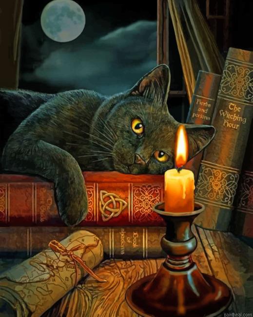 Black cat staring at a candle painting by numbers.jpeg