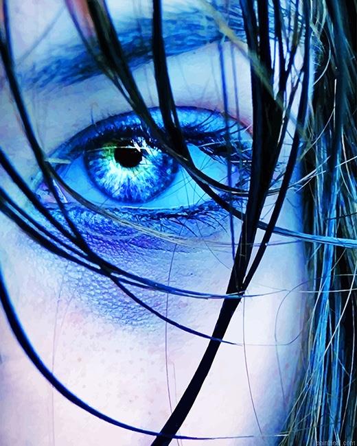 Blue eye art painting by numbers.jpeg
