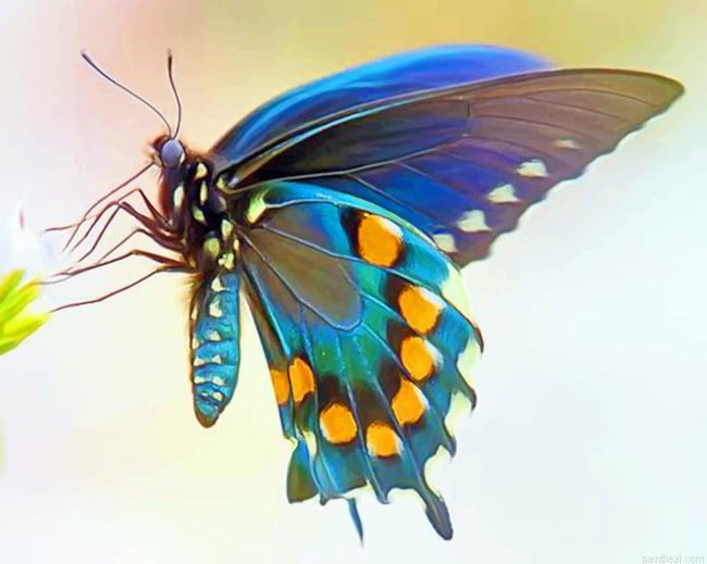 Blue green butterfly wing new painting by numbers.jpeg