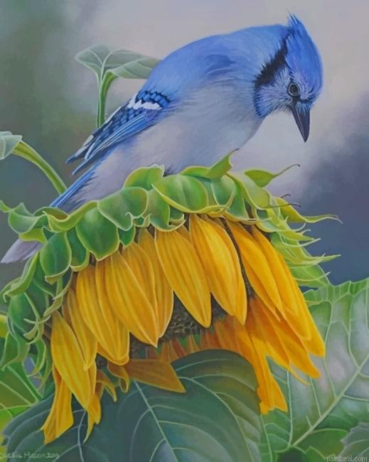 Blue jay on a sunflower new painting by numbers.jpeg