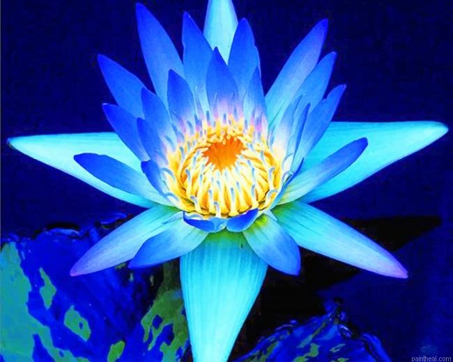 Blue lotus painting by numbers.jpeg