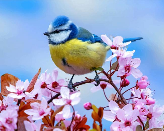 Blue tit painting by numbers.jpeg